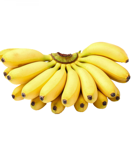 banana-yelaki-1-1000x1000